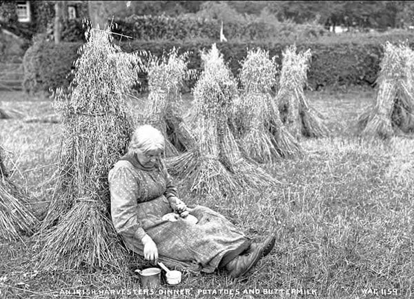 Farming & Basket-Weaving