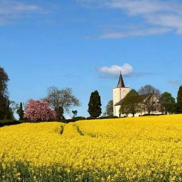 Soldierstown Church