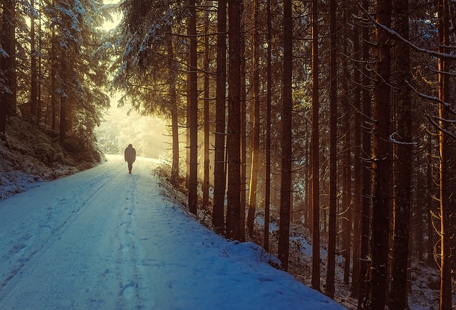New Year Walk